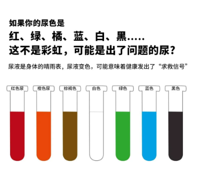 小便都有哪些异常？(图1)